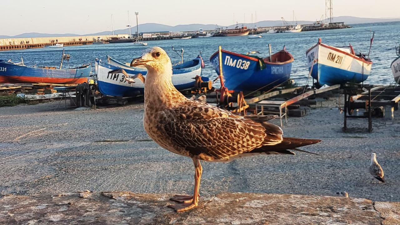 Blue Bay Sea View Pomorie Exterior foto